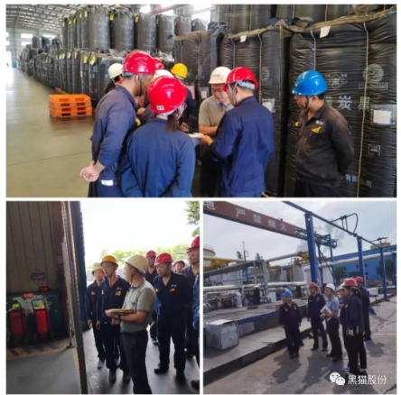 邯郸黑猫顺利通过安徽中鼎密封件股份有限公司审核 邯郸黑猫顺利通过安徽中鼎密封件股份有限公司审核